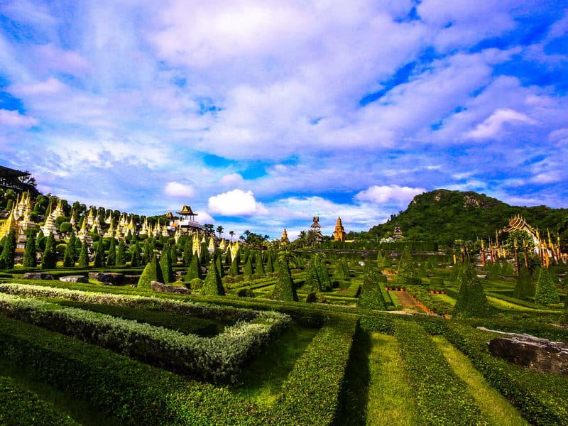 Nong Nooch Village Half Day Tour from Pattaya with Lunch