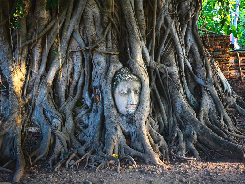 Thailand: Different Faces of the Country