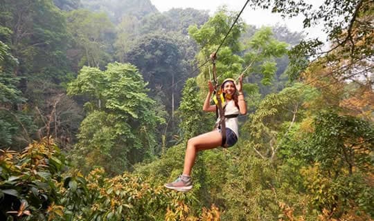 Half Day Flight of the Gibbon in Chonburi with Lunch