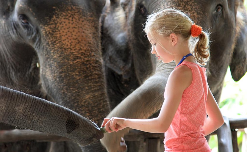 Elephant Hills, Khao Sok