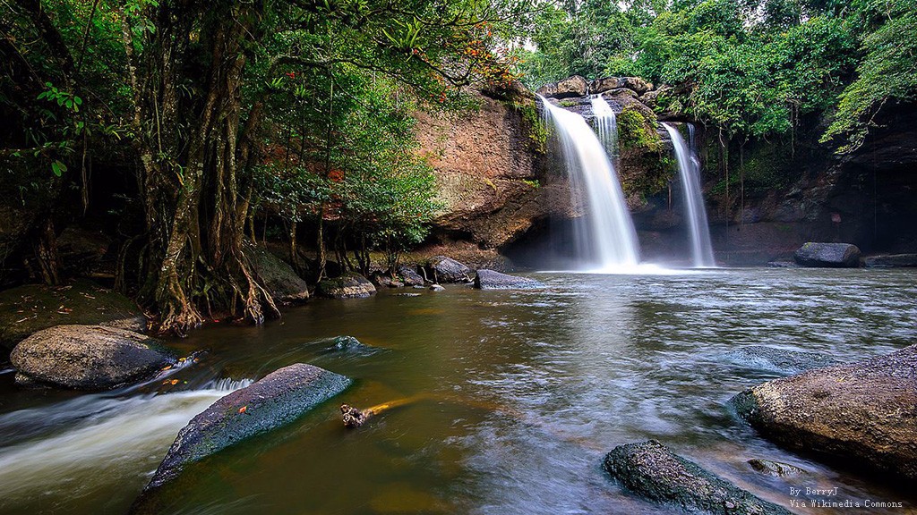 Top 10 Elephant Conservation in Phuket - Thailand Travel Guide | UME Travel