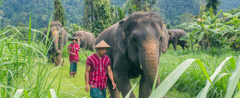 Khao Sok