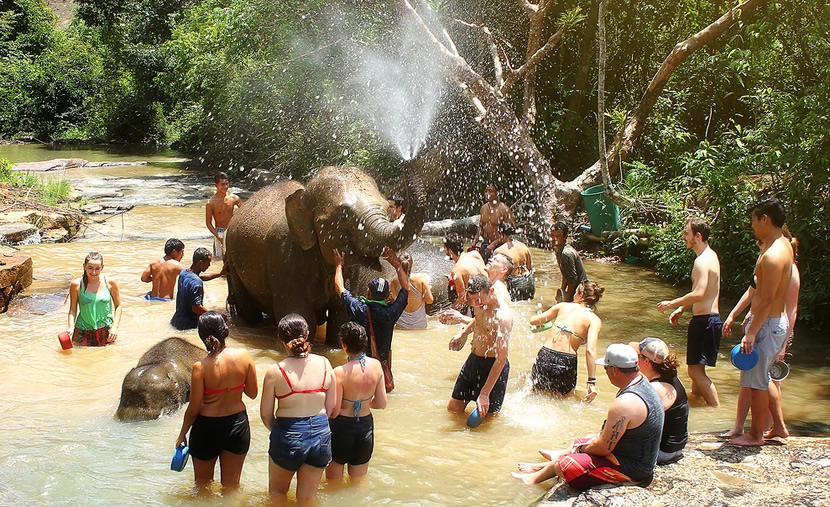 Elephant Jungle Sanctuary