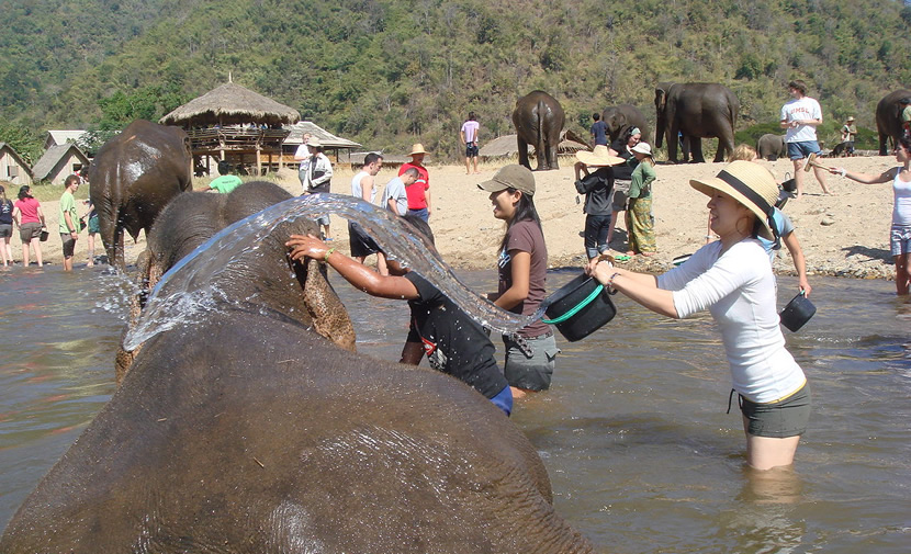 Elephant Nature Park.jpg