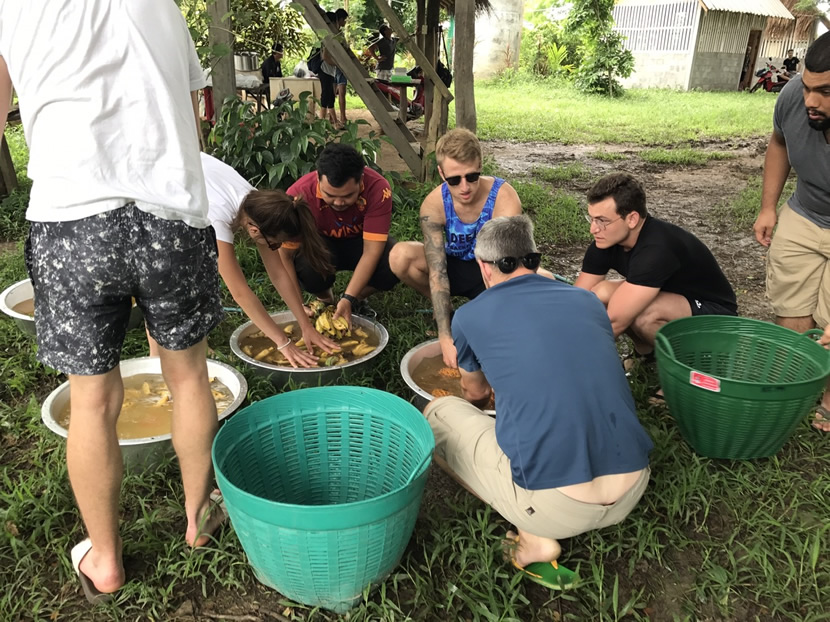 Maeklang Elephant Camp