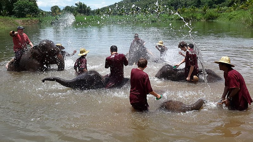 Parc de sauvetage des éléphants