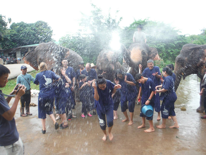 Parc d'éléphants de Baanchang