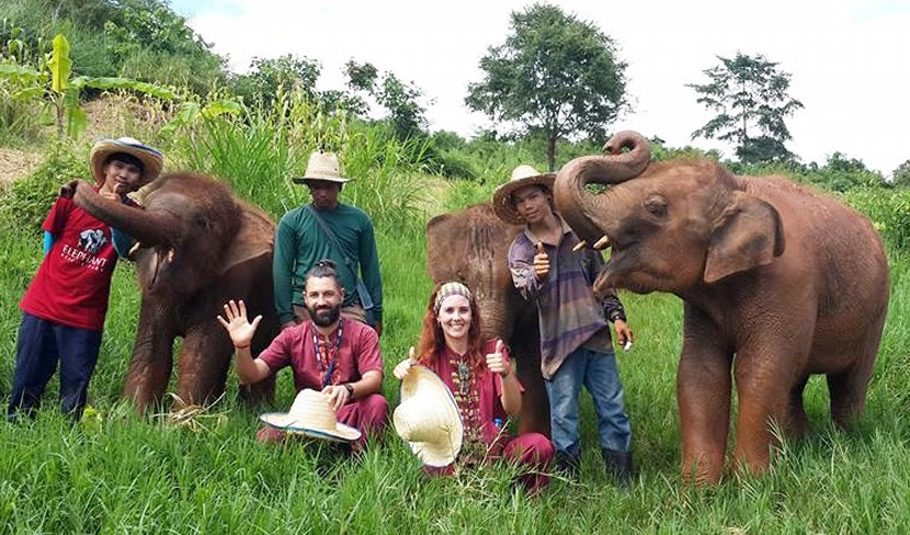 big elephant - Picture of Karen's Tribe Native Elephants, Chiang