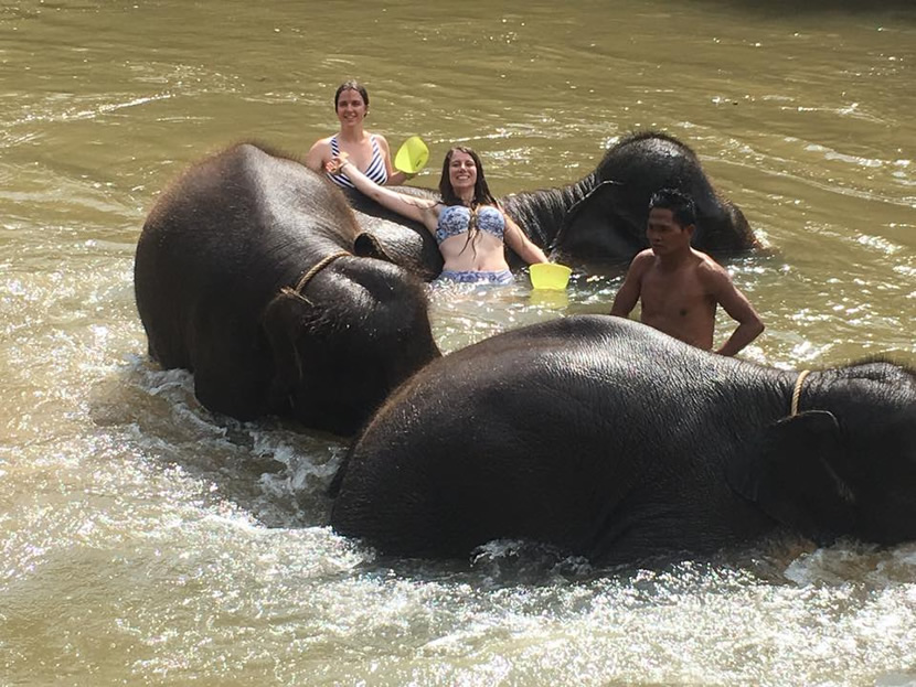 Elephant Trekking Care