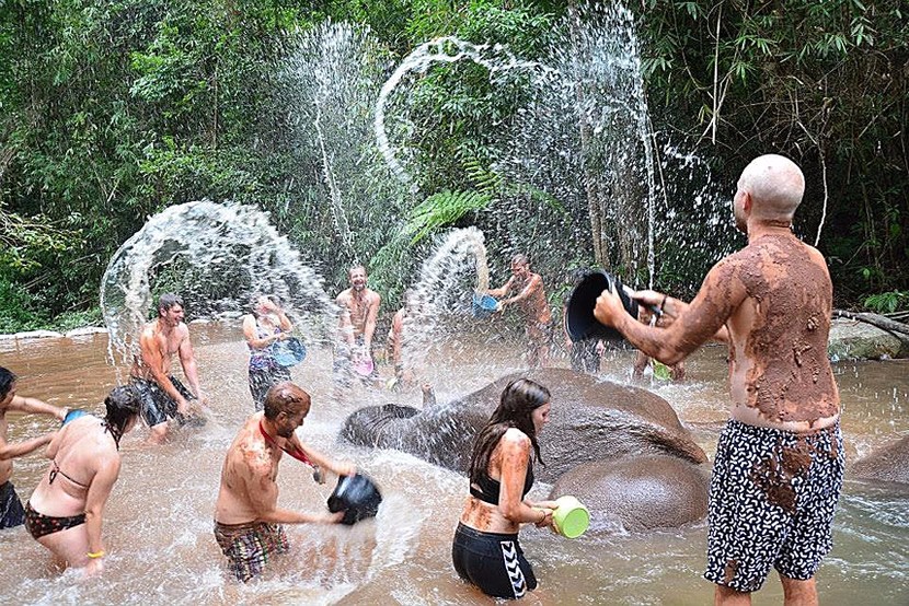 Elephant Jungle Paradise Park