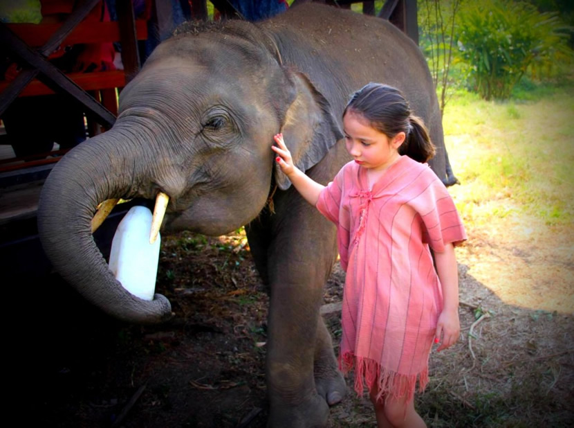 Take care of the baby elephant