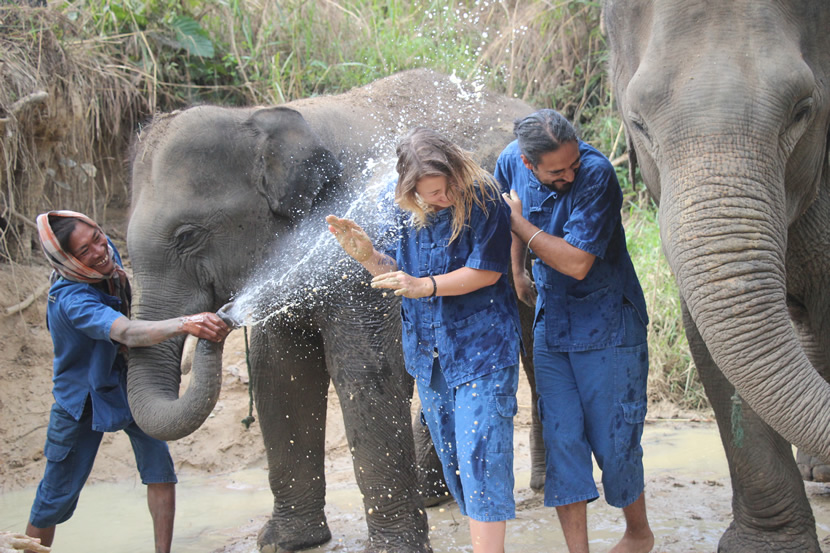 Maerim Elephant Sanctuary