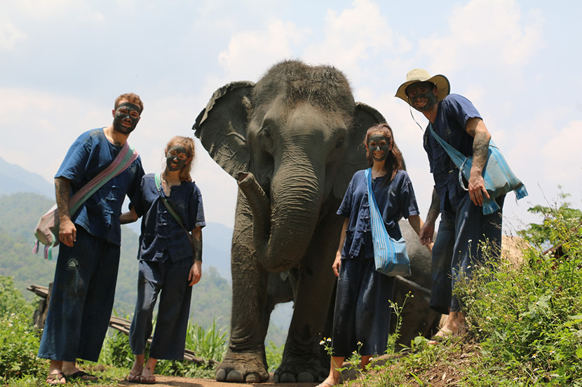 Thai Elephant Home
