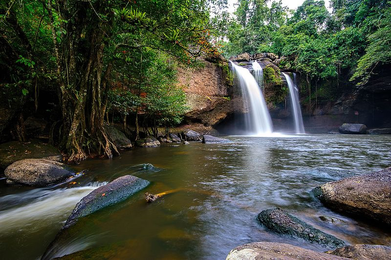 Khao Yai National Park.jpg