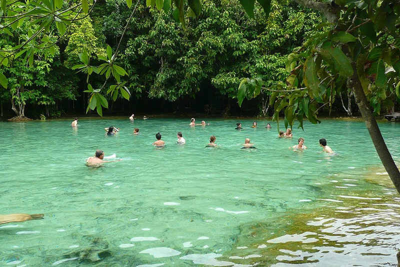 Teao Forest Natural Park.jpg