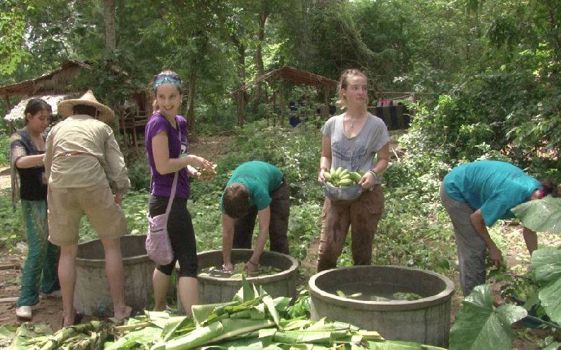 Preparing bananas