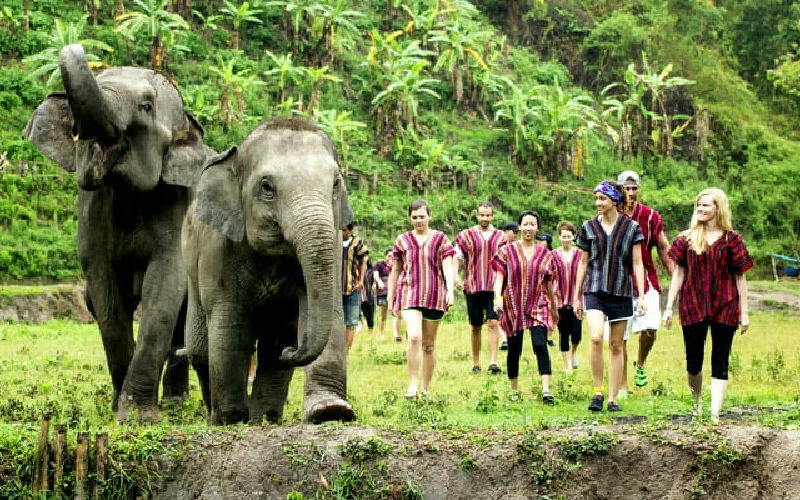 You Can Wear Karon Clothing