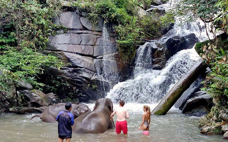 Swimming with Elephants in Waterfall