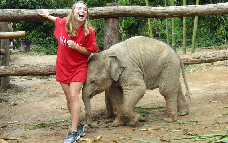 Play with Baby Elephant