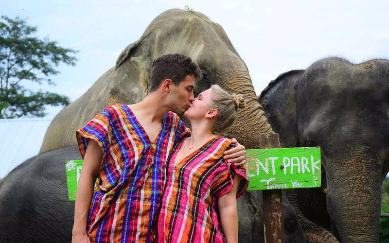 Sweet Time - very hands-on ethical experience with Elephants!