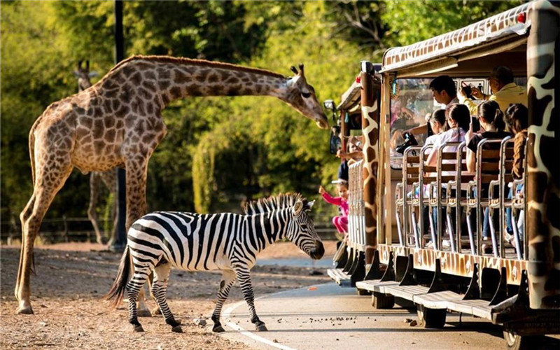 Thailand Zoo.jpg