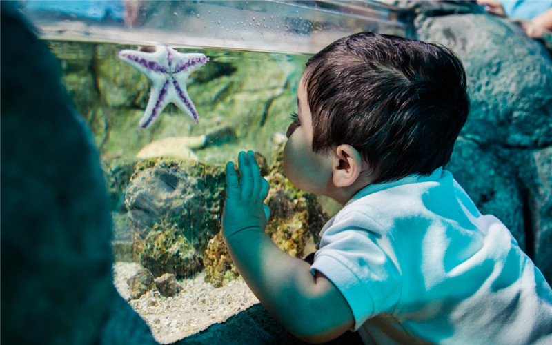 Phuket Aquarium.jpg