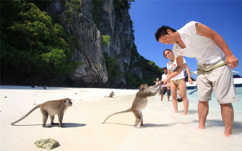 Phi Phi Monkey Beach