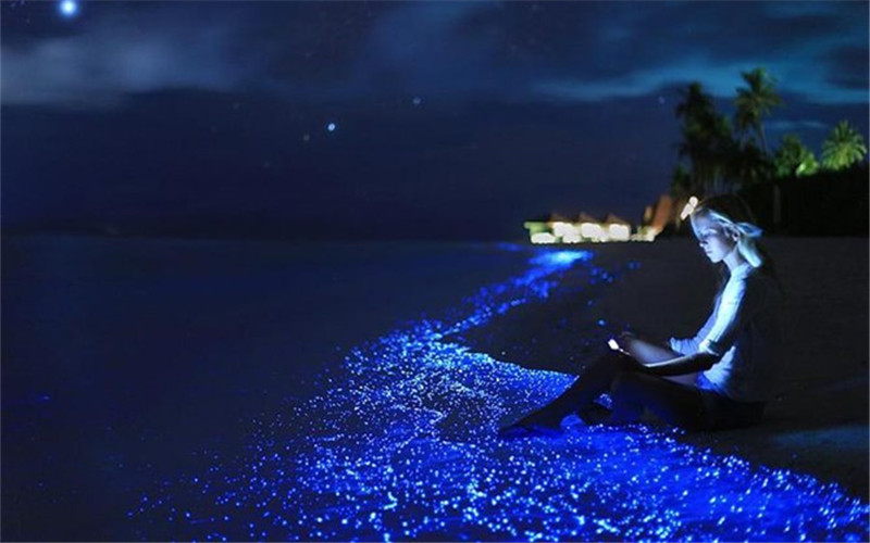 glow of bioluminescent plankton