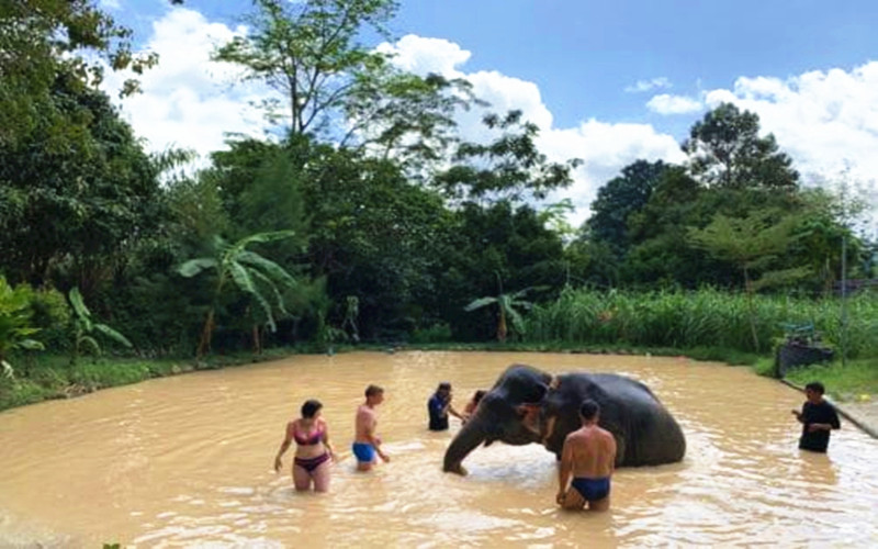 half-day-Phuket-Elephant-Sanctuary-Village-e1571198177138_副本.jpg
