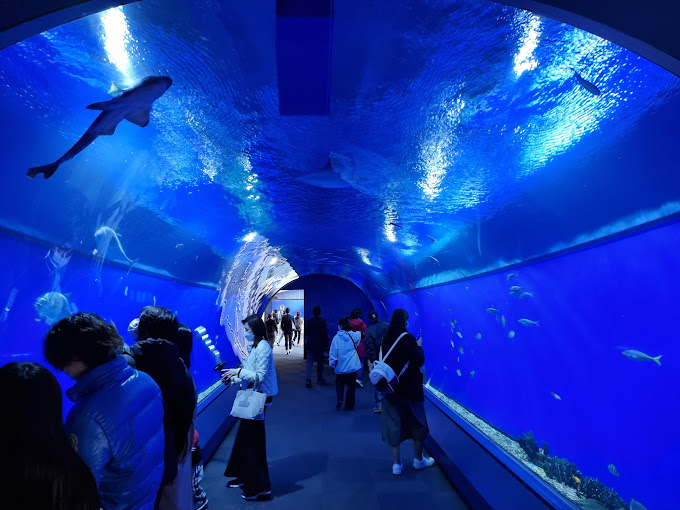 Osaka Aquarium Kaiyukan.jpg