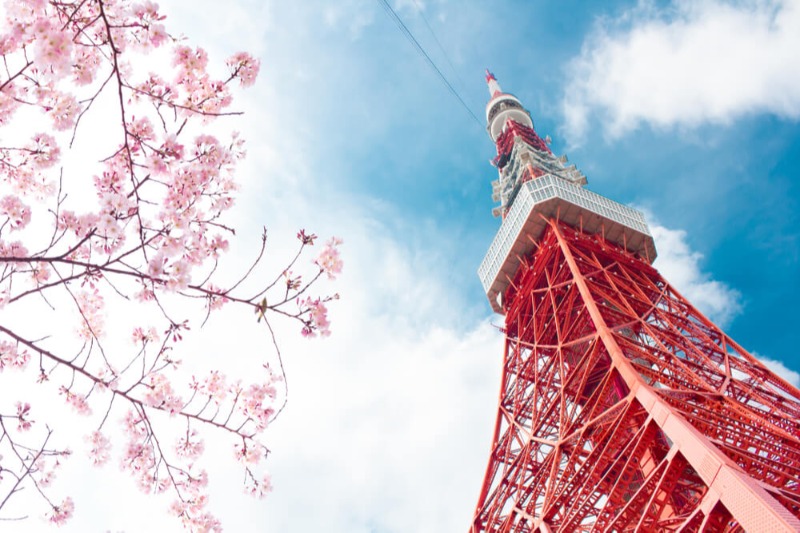 Tokyo Tower Sakura