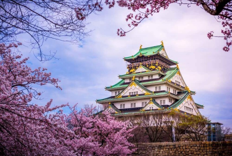 Osaka Castle Cherry Blossom