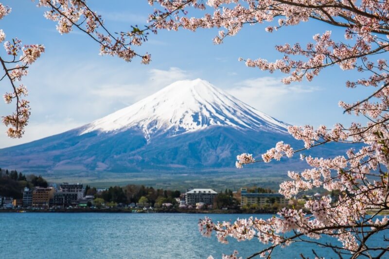 Mount Fuji Japan Cherry Blossom