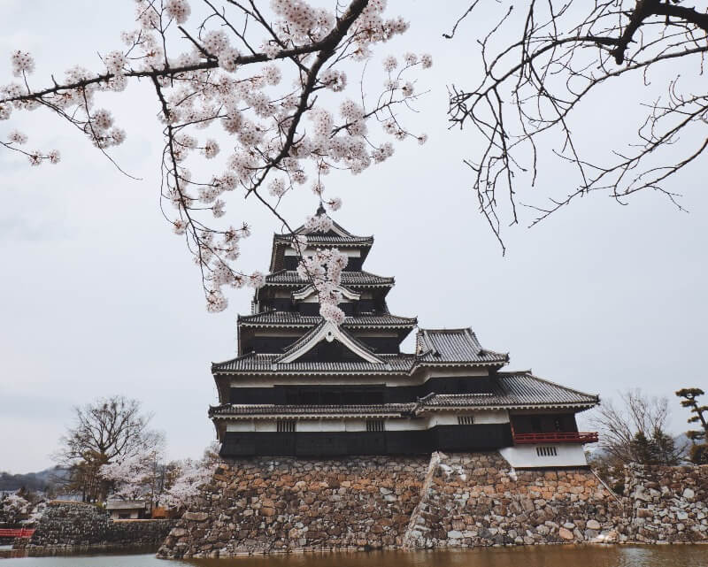 Sakura Season Japan 2025 Best Place to See Cherry Blossoms