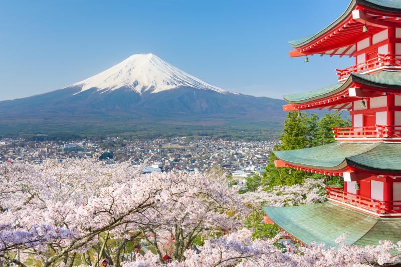 Top 4 Itineraries for a week-long Cherry Blossom Season Japan Tour