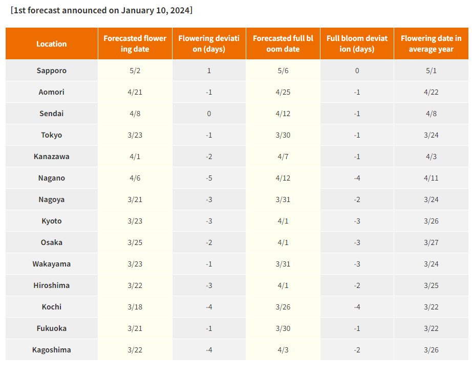 Cherry Blossom Forecast 2024: Looking Forward to “Sakura” Season