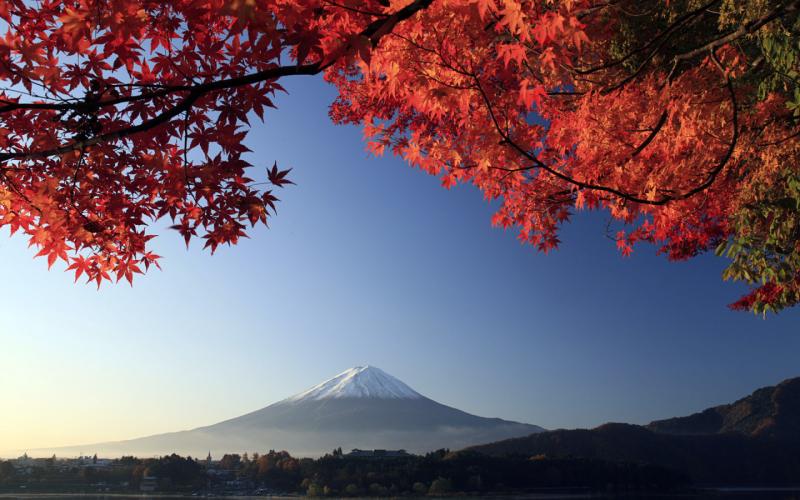 Kawaguchiko Autumn Leaves Festival 2024 Enjoy the Best Mt Fuji Fall