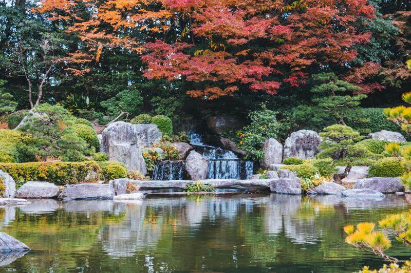 Fukuoka Fall Foliage 2024: Enjoy the Best Kyushu Autumn Leaves