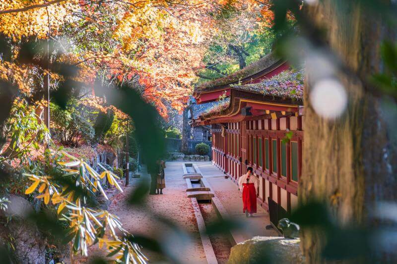 Fukuoka Fall Foliage 2024: Enjoy the Best Kyushu Autumn Leaves