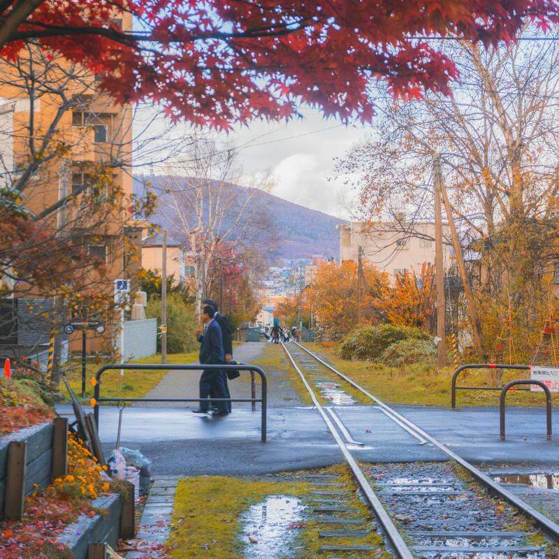 Hokkaido Autumn 2024: See the Earliest Fall Foliage in Japan