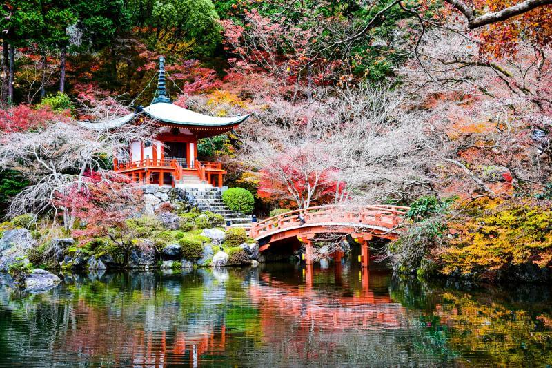 Kyoto Fall Foliage 2024: A Guide to Viewing Autumn Leaves