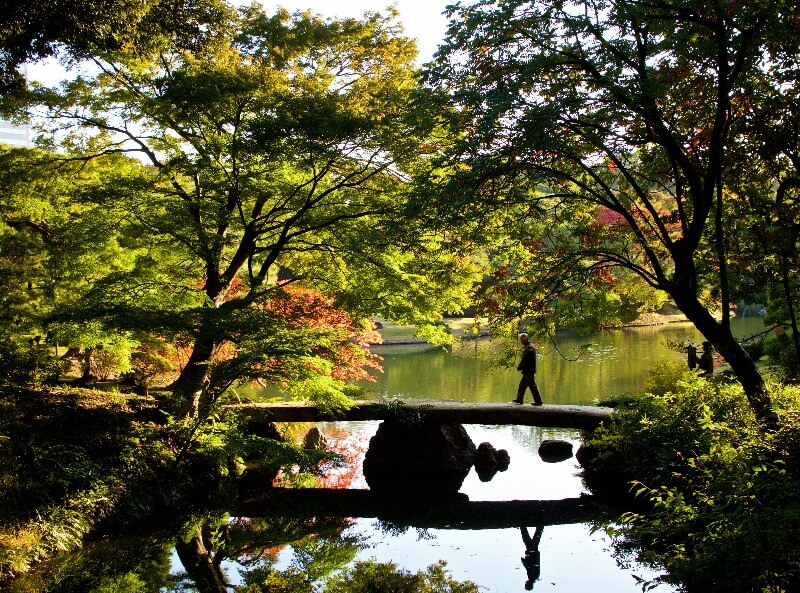 Fall Foliage in Tokyo: A Guide to Autumn Leaves Season 2024