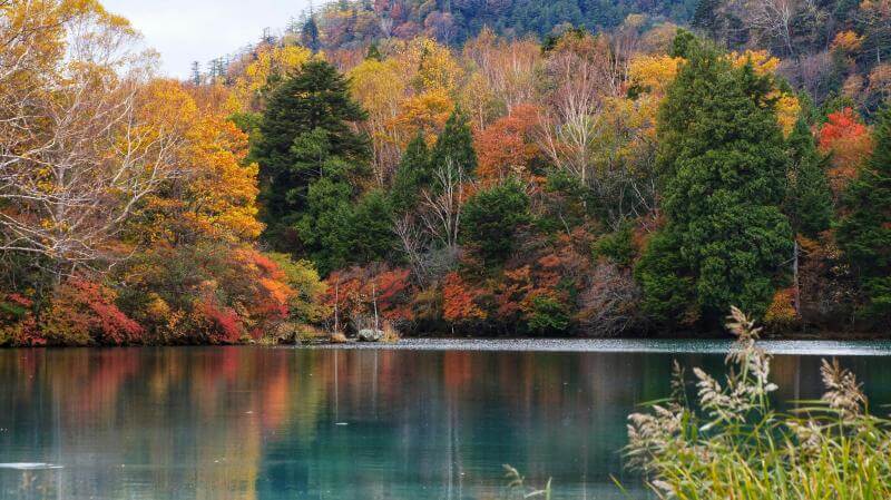 Nikko Fall Foliage