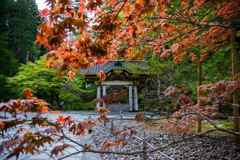 Nikko Fall Foliage 2024: 15 Best Spots to View Autumn Colors in Japan