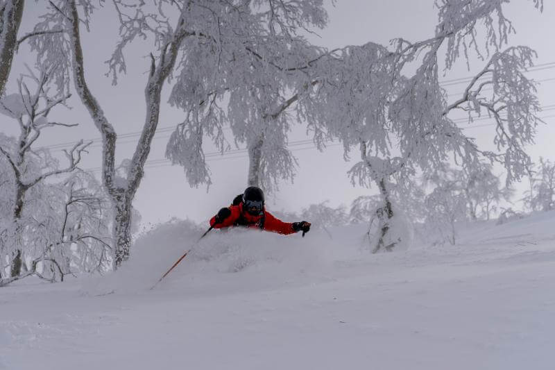 Skiing in Japan in December