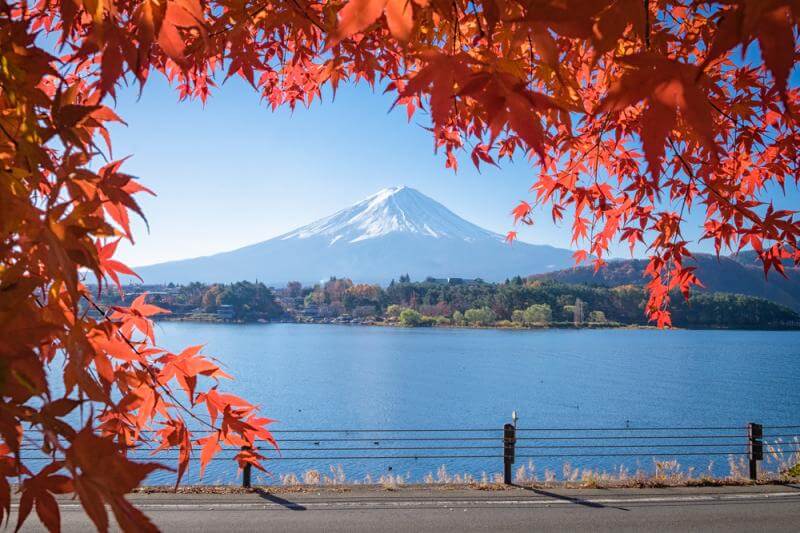 Viewing the Fuji Red Leaf Is One of the Must-do Things to Do in Japan in October