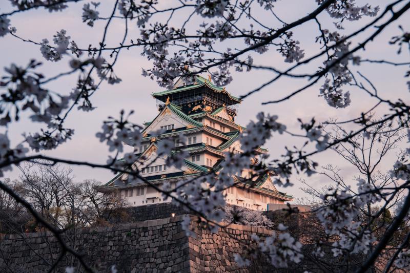 Enjoy Sakura at Osaka Castle Park on March in Japan