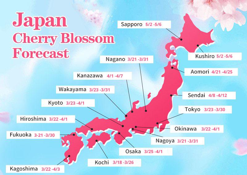 Sakura Forecast 2025 Best Time to See Cherry Blossoms in Japan