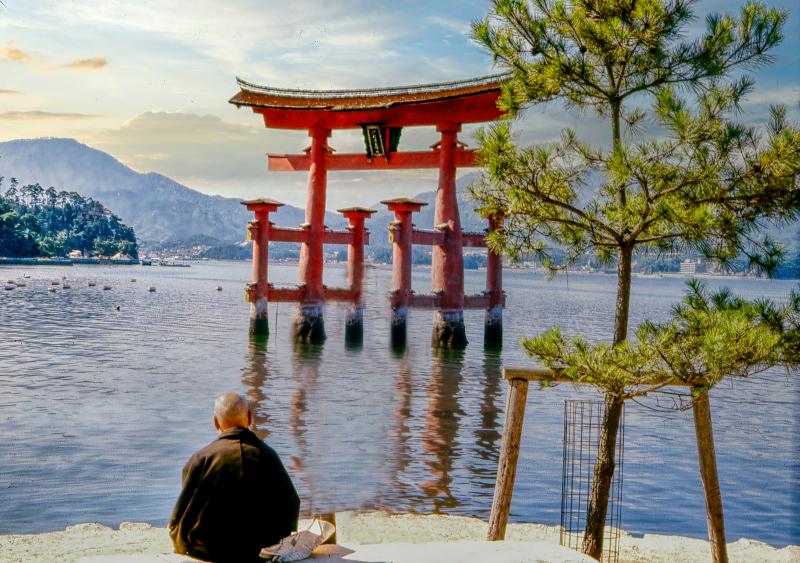 Miyajima Island Is Unmissable for a Family Tour to Japan