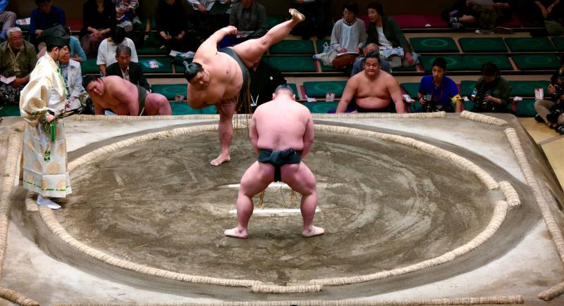 Sumo Wrestling Tournament